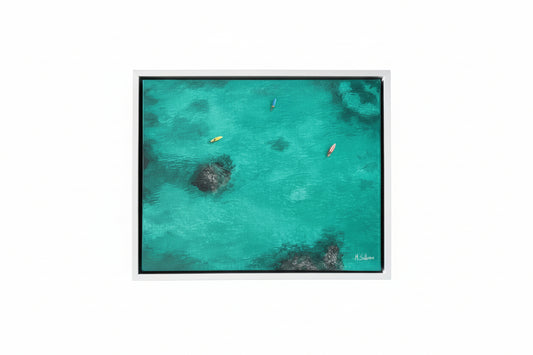 Morning Meeting Canvas Print